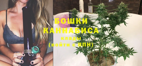 MESCALINE Бородино