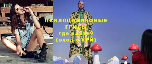 мдпв Богородск