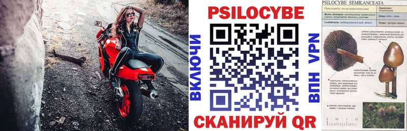 Псилоцибиновые грибы мицелий  Купить  Мещовск 